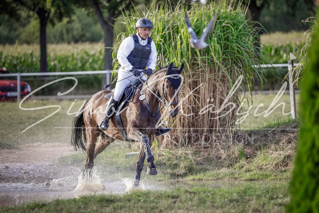20250906-_3LI7897 | Tierfotografie Pferde, Hunde, Katzen, Haustiere.
Turnierfotografie Reitturniere, Reiten, Springreiten, Dressur in Hanau, dem Main-Kinzig-Kreis und dem Rhein-Main- Gebiet um Frankfurt