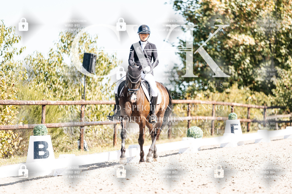 CK909461 | Turnierfotografie Pferdefotografie Trier Rheinland-Pfalz Pferdesport Reitsport Tierfotografie Sportfotografie Pferdevideo Pferdevideografie Equestrianvideography equestrianphotography  - Realisiert mit Pictrs.com