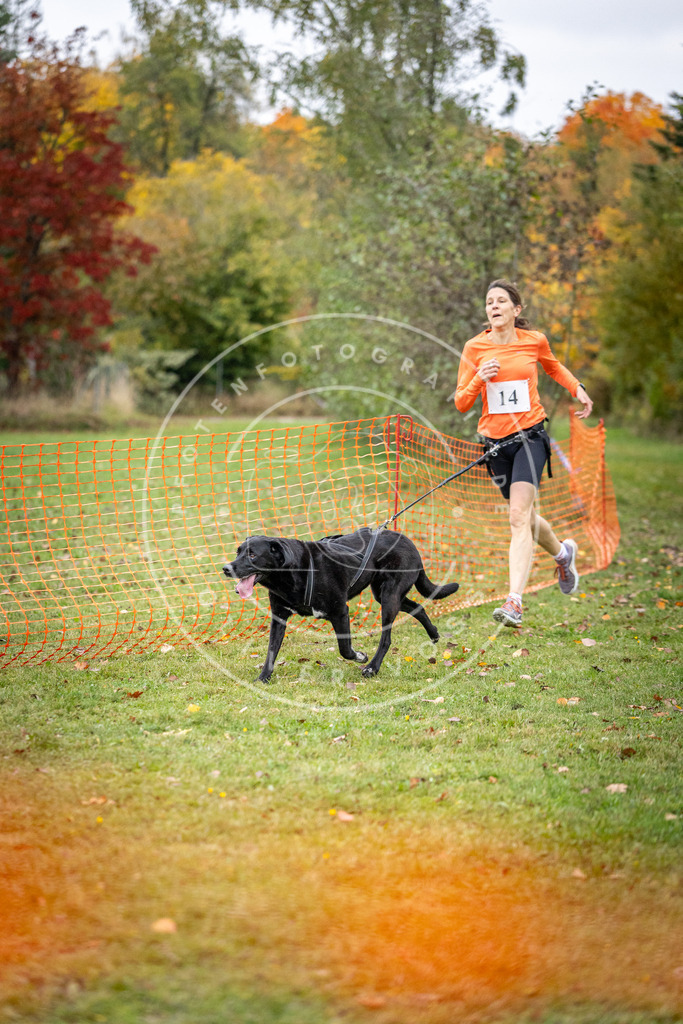 Pfotenfotografie_DV3A1837 | Hundefotografie, Tierfotograf, Pfotenfotografie, Fotoshooting Hund, Hunde Portrait, Hundesport, Hundeportraits, Heideshooting, Hunde, Sportfotograf, Hundefotograf, Turnierhundsport, THS,  - Realisiert mit Pictrs.com