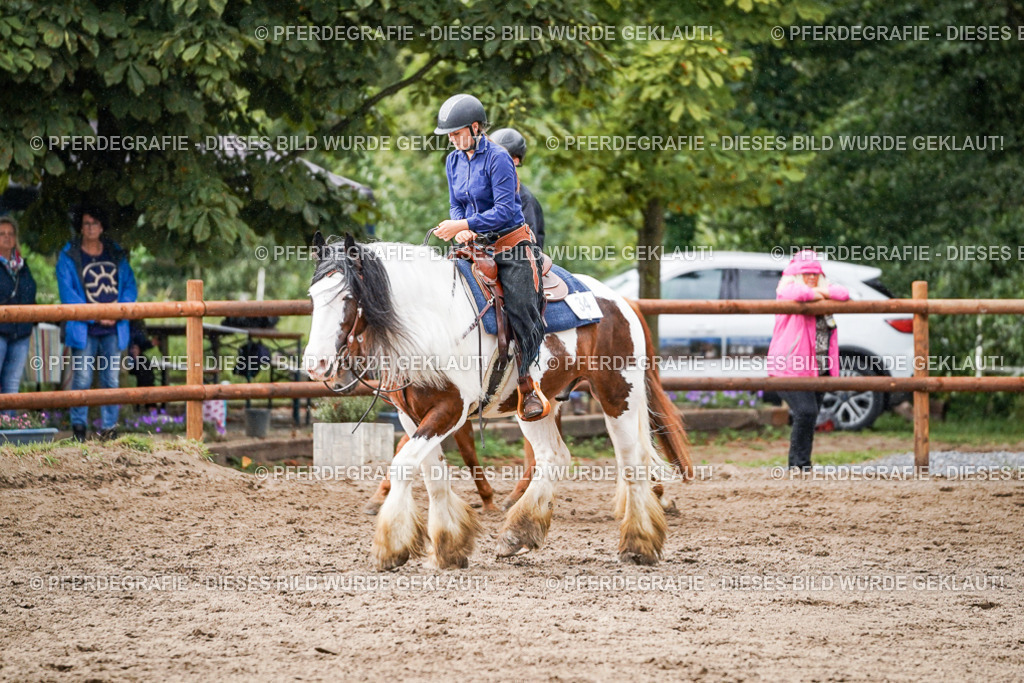 DSC09006 | Pferdegrafie