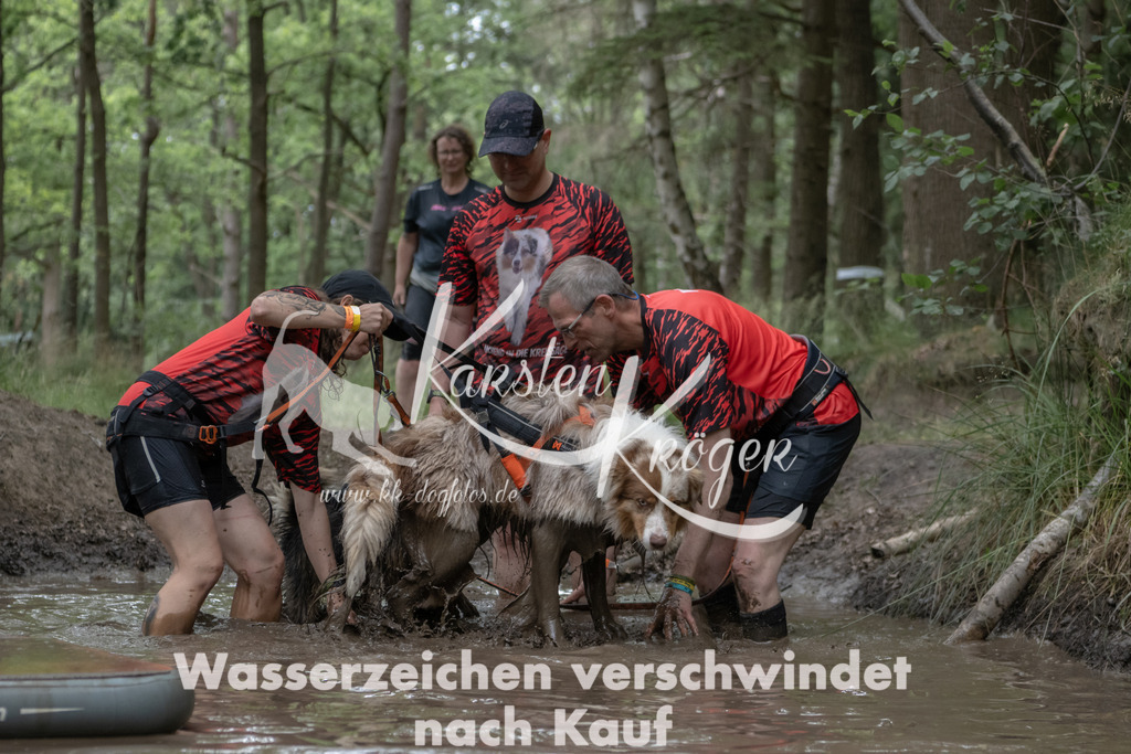 1326_ZZ94034 | kk-dogfotos