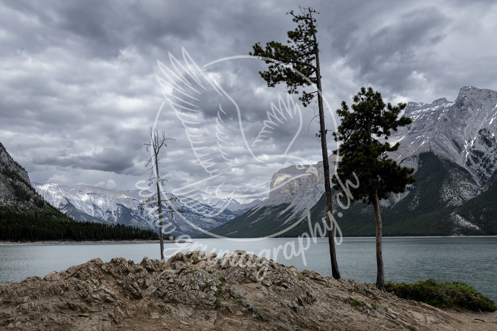 between the peaks - canada | Authentische Landschafts- & Wildtierfotografie aus der Schweiz. Hochwertige Wandbilder, Fine-Art-Prints und Wunschmotive nach Auftrag – sorgfältig entwickelt im Grumagraphy-Style