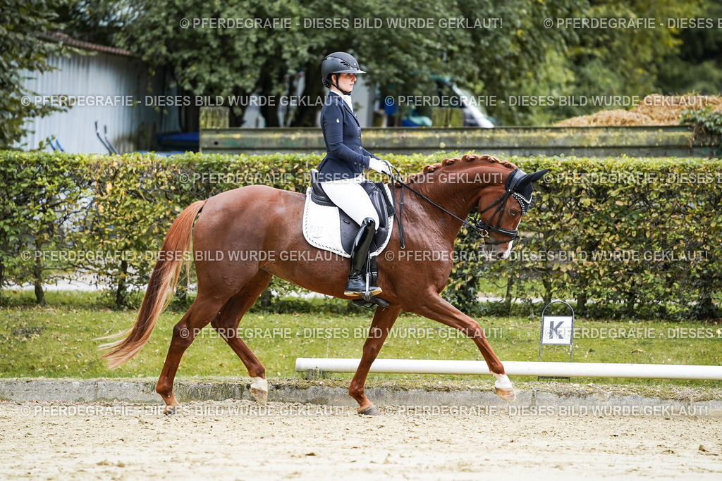 DSC06940 | Pferdegrafie