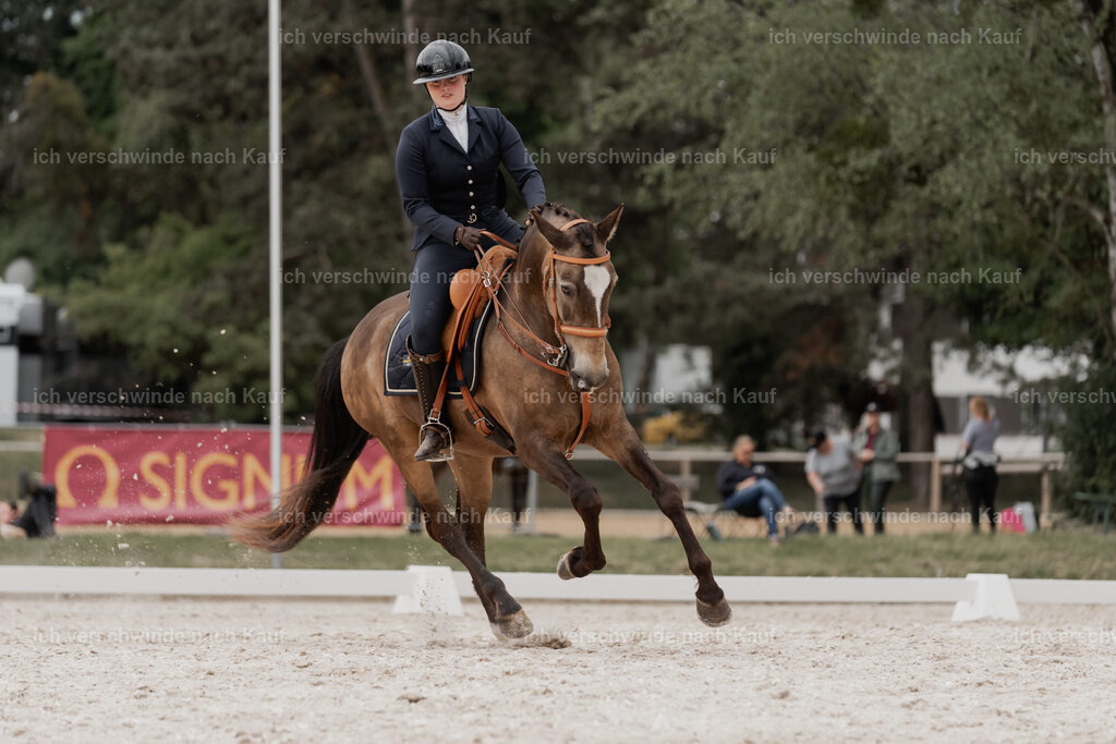 WE_DR_Stoib_329_PI2025_855 | Pferd International München 2025