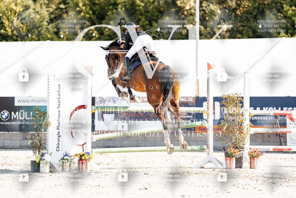 CK901953 | Turnierfotografie Pferdefotografie Trier Rheinland-Pfalz Pferdesport Reitsport Tierfotografie Sportfotografie Pferdevideo Pferdevideografie Equestrianvideography equestrianphotography  - Realisiert mit Pictrs.com
