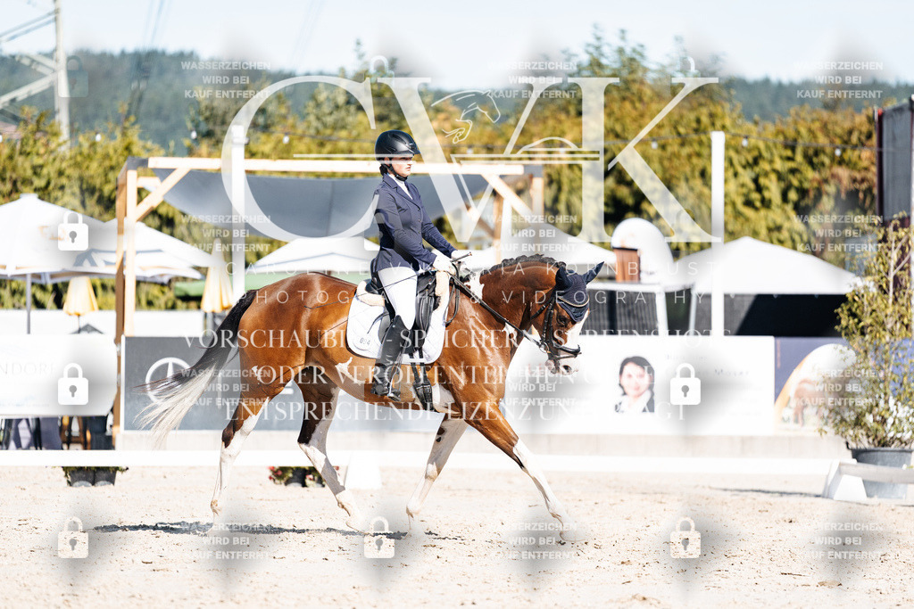 CK908082 | Turnierfotografie Pferdefotografie Trier Rheinland-Pfalz Pferdesport Reitsport Tierfotografie Sportfotografie Pferdevideo Pferdevideografie Equestrianvideography equestrianphotography  - Realisiert mit Pictrs.com