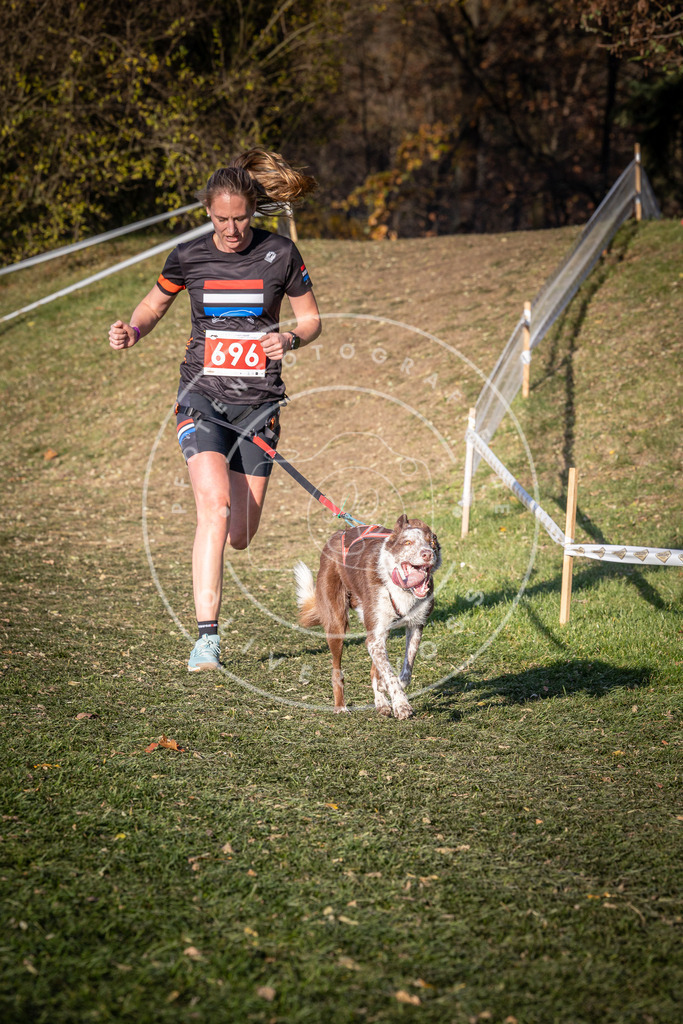 CaniXpix_0L8A9469 | Hundefotografie, Tierfotograf, Pfotenfotografie, Fotoshooting Hund, Hunde Portrait, Hundesport, Hundeportraits, Heideshooting, Hunde, Sportfotograf, Hundefotograf, Turnierhundsport, THS,  - Realisiert mit Pictrs.com