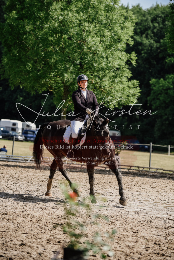 DSC_0176 | Pferde- und Turnierfotografie in Westsachsen. Pferdeportraits, Auftragszeichnungen und intuitive Kunst.