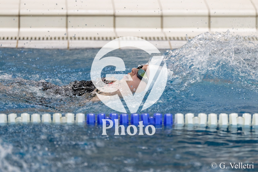 DSC_0849 | Velletri Photo