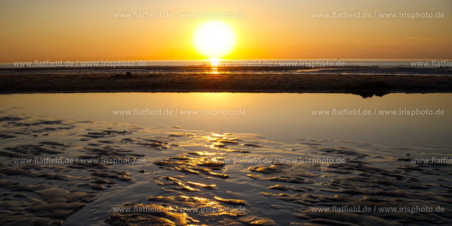 Sonennuntergang in Wennduine | Sonennuntergang in Wennduine / Belgien