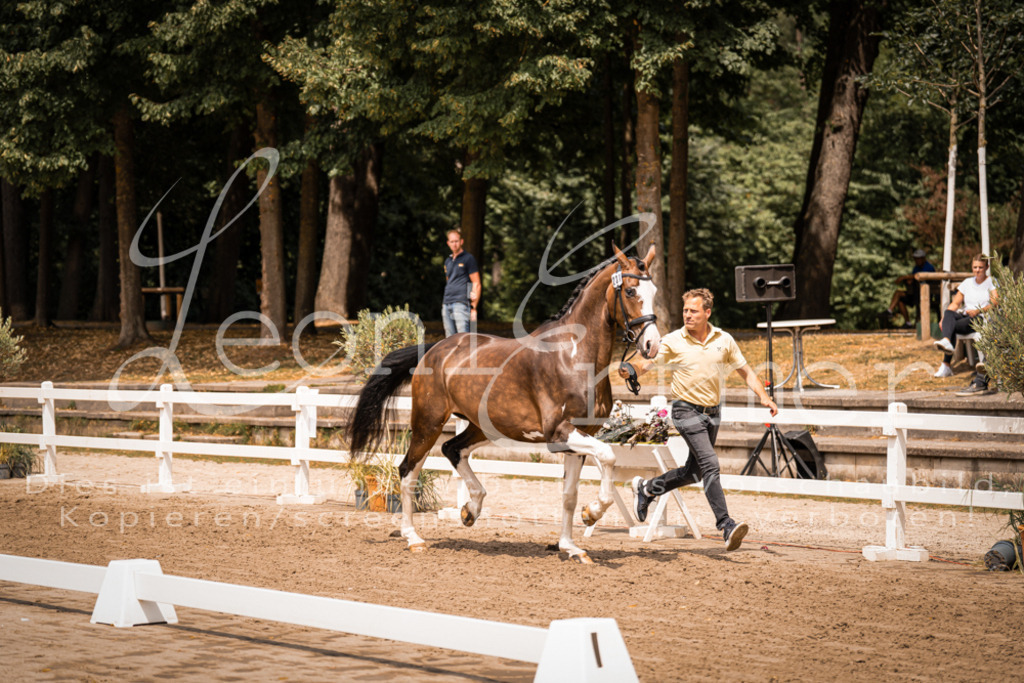 2. Fr00164 | Leoni Ertmer Photography - Realisiert mit Pictrs.com