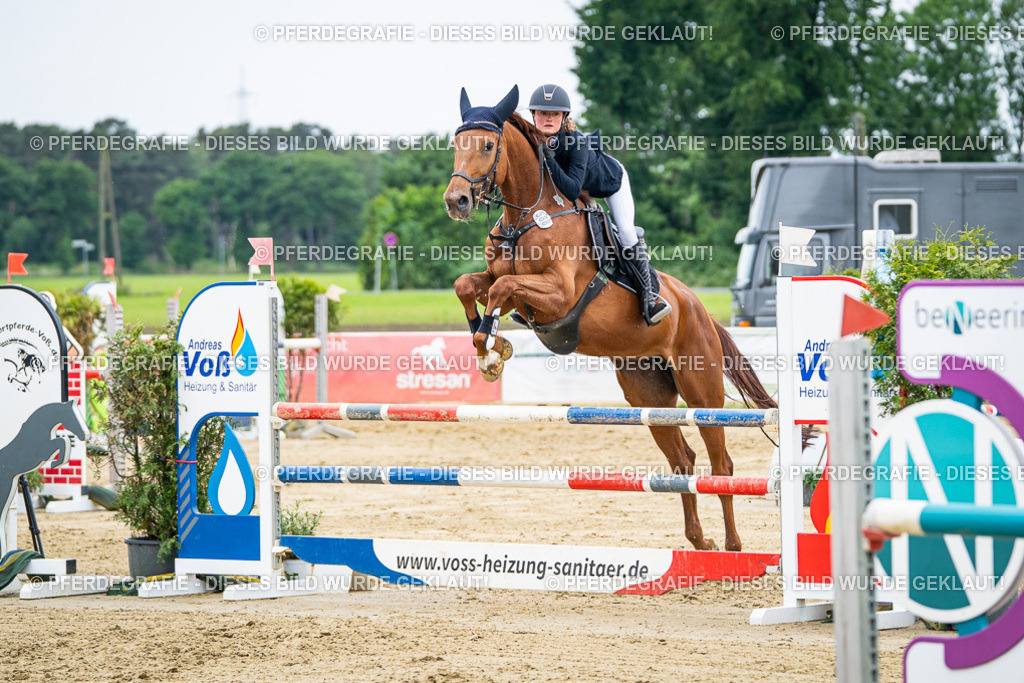 DSC06254 | Pferdegrafie