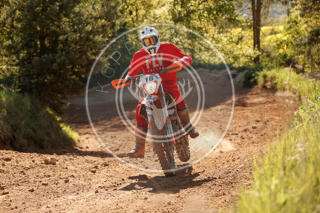 RottlebenIGE25_Lauf3-668 | koppe-media