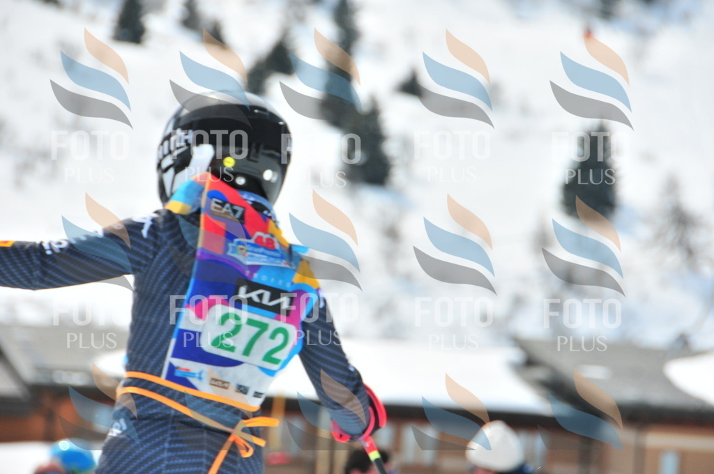 DSC_2539 | holidayphoto