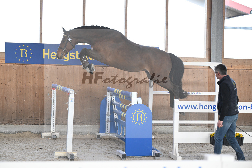 Kat-Nr. 28 Vintl B v. Vigaro_Rau_14260886 | hf-fotografie - Realisiert mit Pictrs.com
