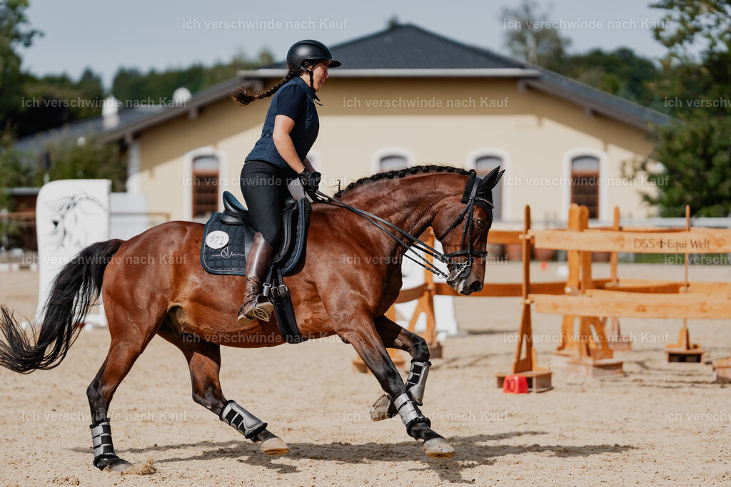 Nadine22_FHC2025-143 | working equitationturnier fotograf videograf stoibphotography marixx film working equitation deutschland reitsport turnierfotografie eventfotografie equestrian events
