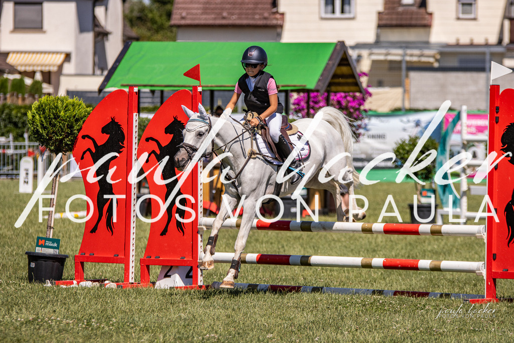 IMG_0620 | Erleben Sie dynamische Sport- und emotionale Tierfotografie in Süddeutschland mit Fotos von Paula. Spezialisiert auf Pferde- und Hundefotografie sowie Sportevents. Kontaktieren Sie mich für einzigartige und ausdrucksstarke Bilder Ihrer besonderen Momente. - Realisiert mit Pictrs.com