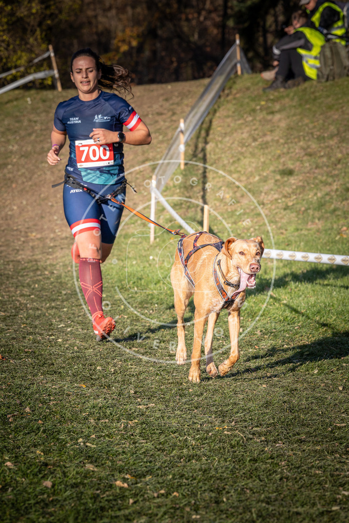 CaniXpix_0L8A9453 | Hundefotografie, Tierfotograf, Pfotenfotografie, Fotoshooting Hund, Hunde Portrait, Hundesport, Hundeportraits, Heideshooting, Hunde, Sportfotograf, Hundefotograf, Turnierhundsport, THS,  - Realisiert mit Pictrs.com
