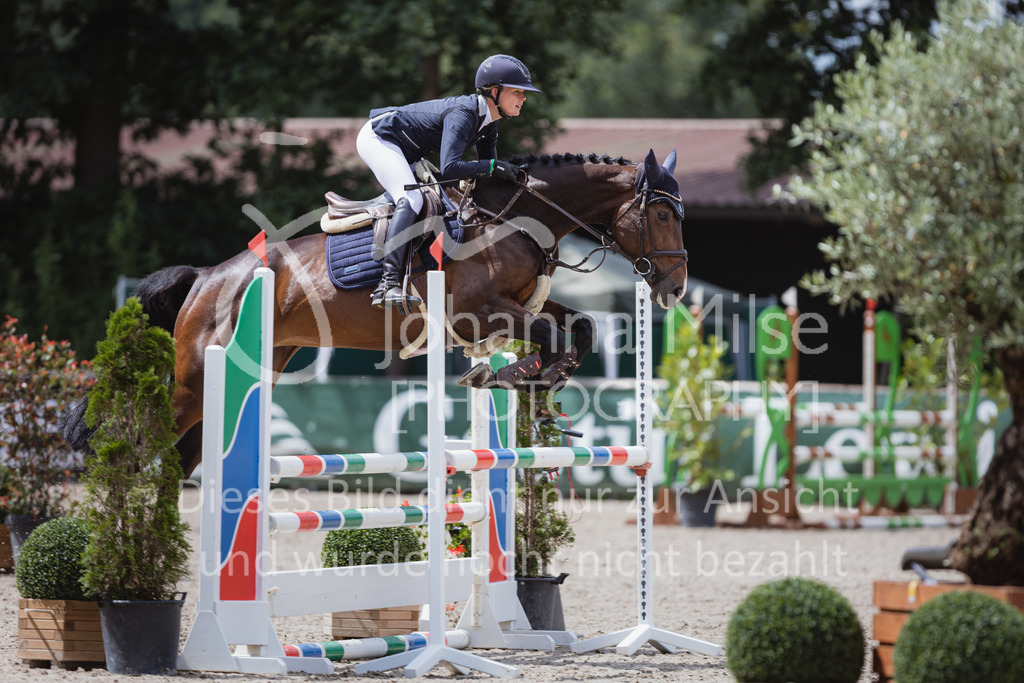 220705_Mühlen_SprPf-A3-387 | Late Entry Mühlen
05.07.2022
03 Springpferde-A**, 4-6jährige Pferde