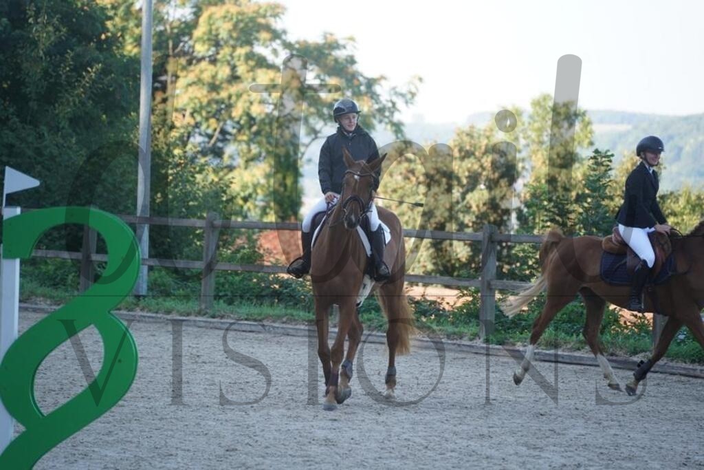 tgbhsonntag (30) | d.tail Visions - Shop - Realisiert mit Pictrs.com