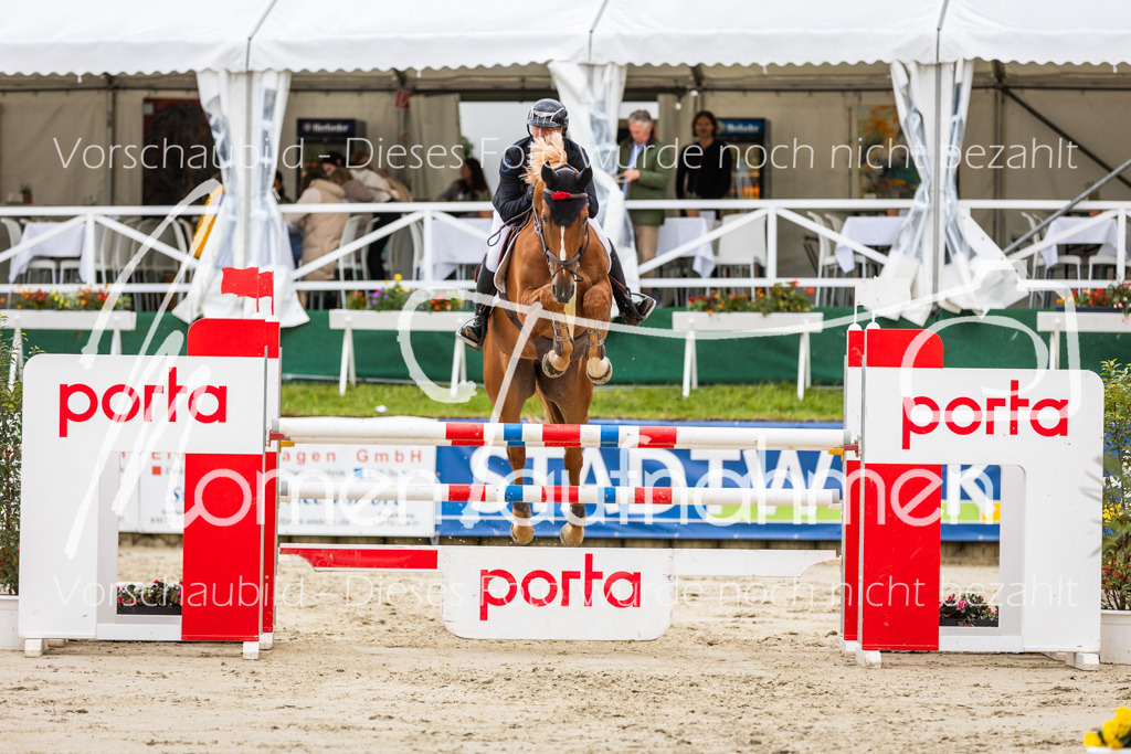 BHO-2PhSpr-M-5-2274 | MomenTaufnahmen Pferdesportfotos