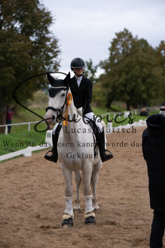 A7V05423 | Pferdefotograf