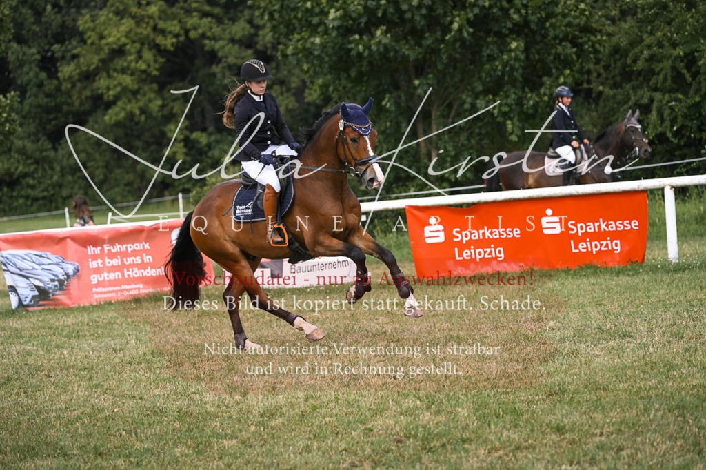 DSC_0899 | Pferde- und Turnierfotografie in Westsachsen. Pferdeportraits, Auftragszeichnungen und intuitive Kunst.