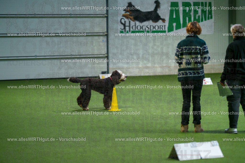 7R508074 | Professionelle Tierfotografie in Mönchengladbach von Daniel Wirth (allesWIRTHgut). Liebevolle & natürliche Bilder von Hunden & Katzen für unvergessliche Erinnerungen.