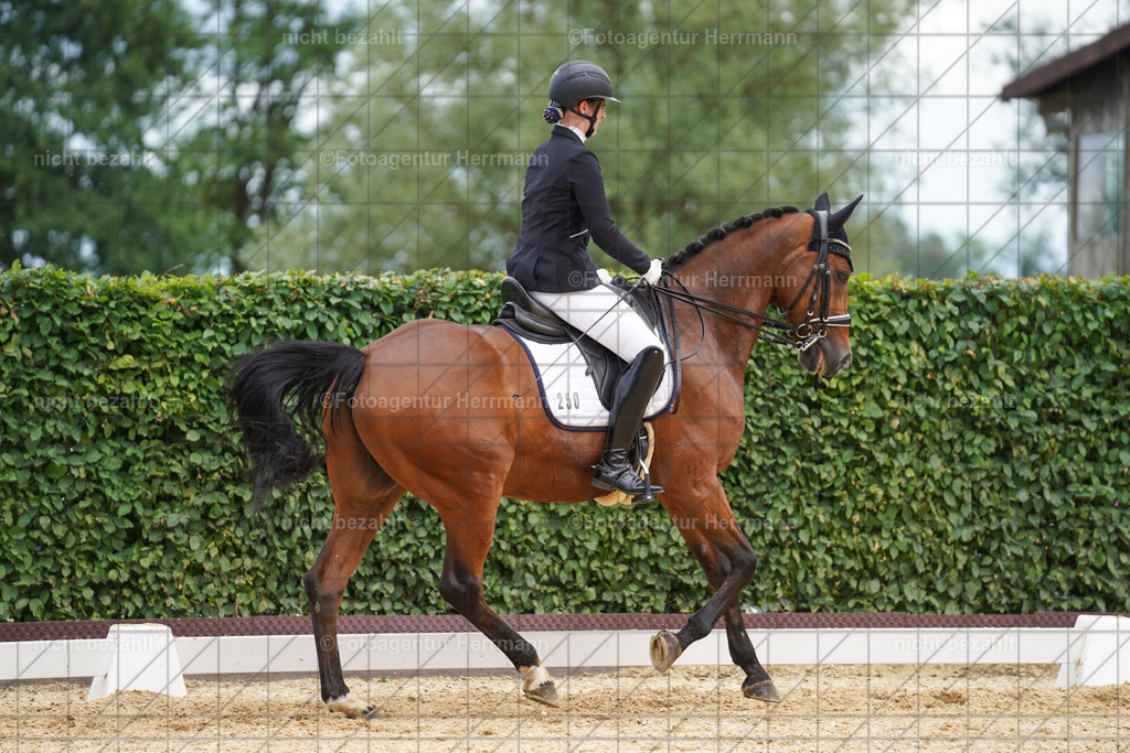 20240630-FAH02064 | Turnierbilder Schwabmünchen, Dressurbilder, Springreitturnier, Reitsportbilder, Turnierfotografen Bayern, Turnierfotograf