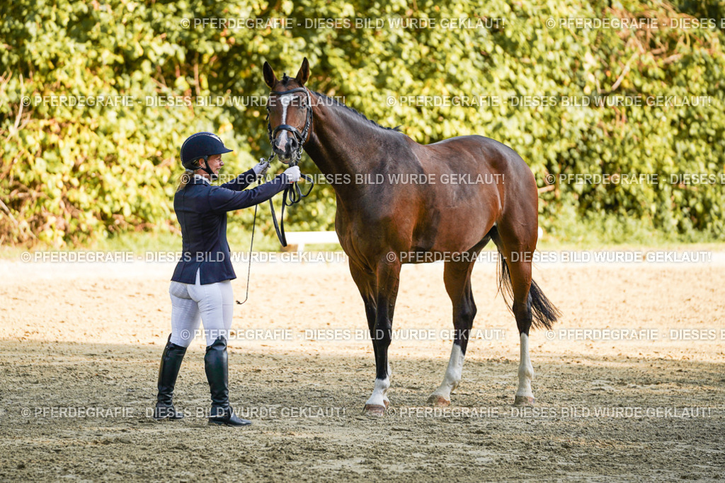 DSC05798 | Pferdegrafie