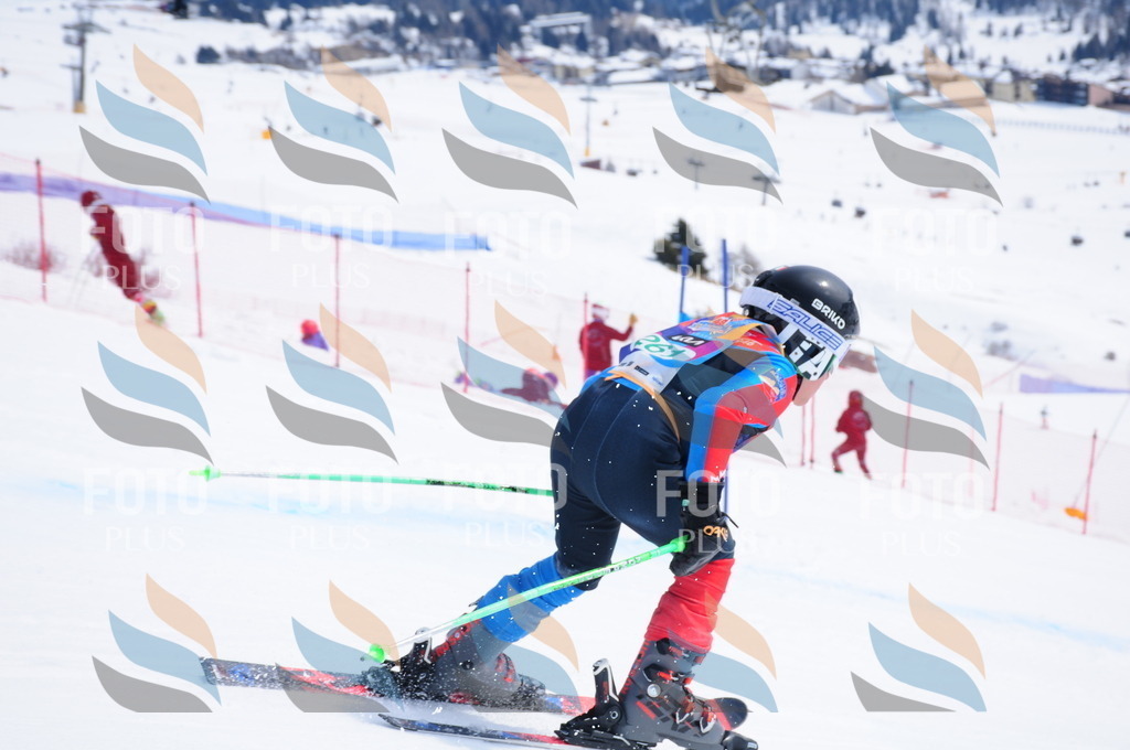 DSC_2491 | holidayphoto