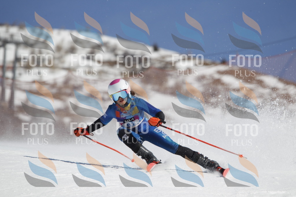 _U3G9752 | holidayphoto