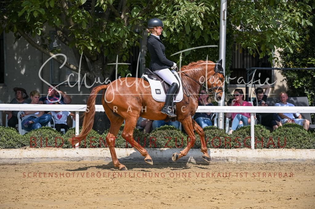 Schugtsche-Aluta25-53.Amat.Dressurprf.A2-70 | Schugtsche Fotografie - Realisiert mit Pictrs.com