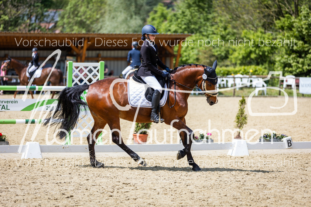 Donop24-EDre-042 | MomenTaufnahmen Pferdesportfotos