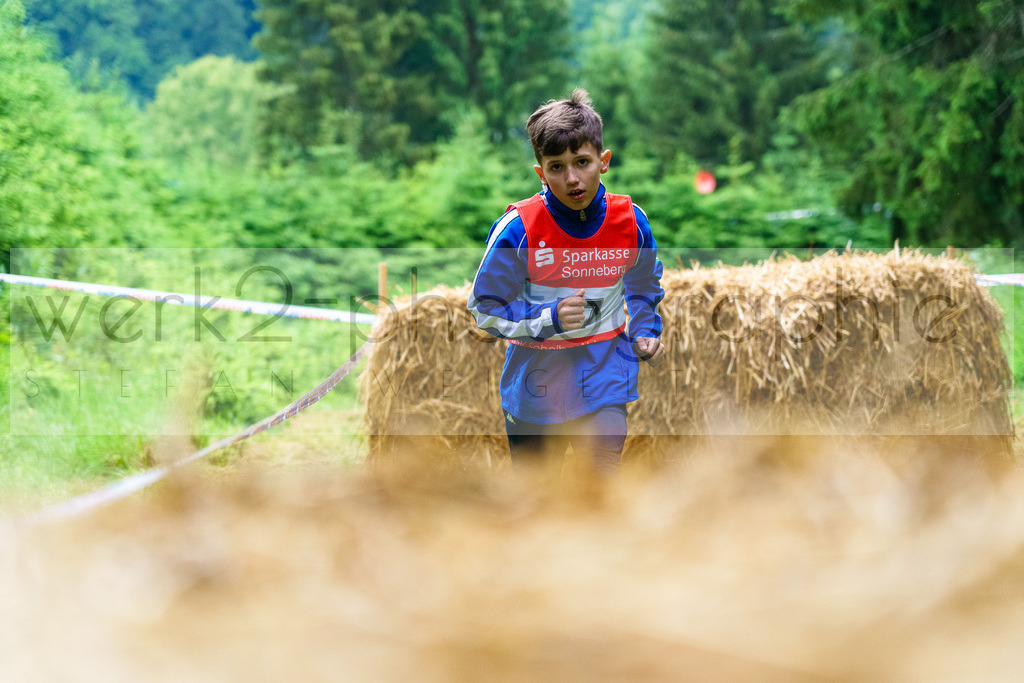 Hindernis-Cross Scheibe-Alsbach | Biathlonanlage "Am Rußtiegel" am 15. Juni 2024