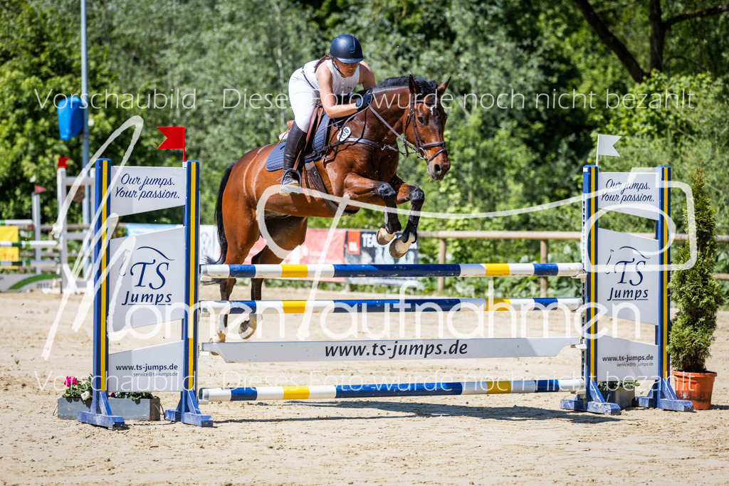 Donop24-L-Spr-002 | MomenTaufnahmen Pferdesportfotos