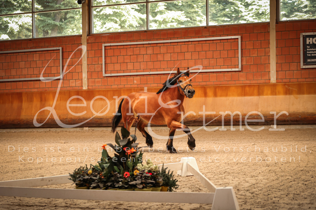 SaFL00022 | Leoni Ertmer Photography - Realisiert mit Pictrs.com