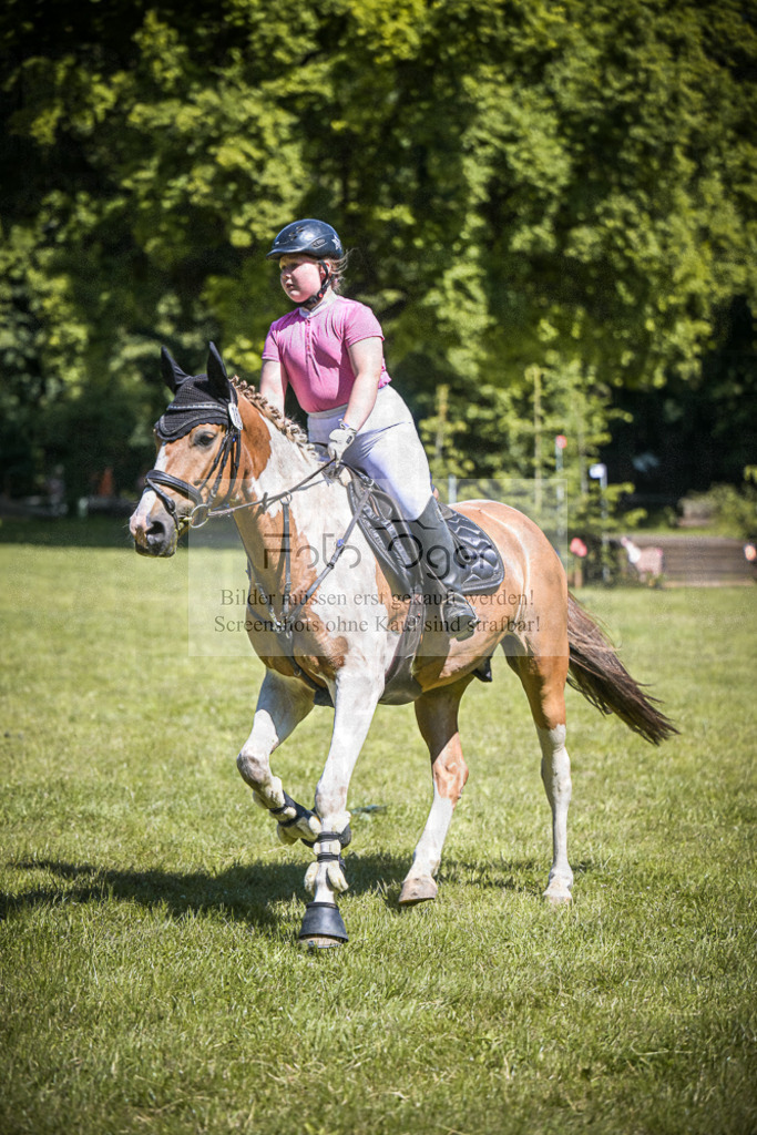 DOS_3361 | Entdecke hochwertige Reitturnierfotos von Foto Oger. Professionell, emotional und authentisch – jetzt Lieblingsmomente im Shop bestellen.Deutschlandweite Turnierfotografie. - Realisiert mit Pictrs.com