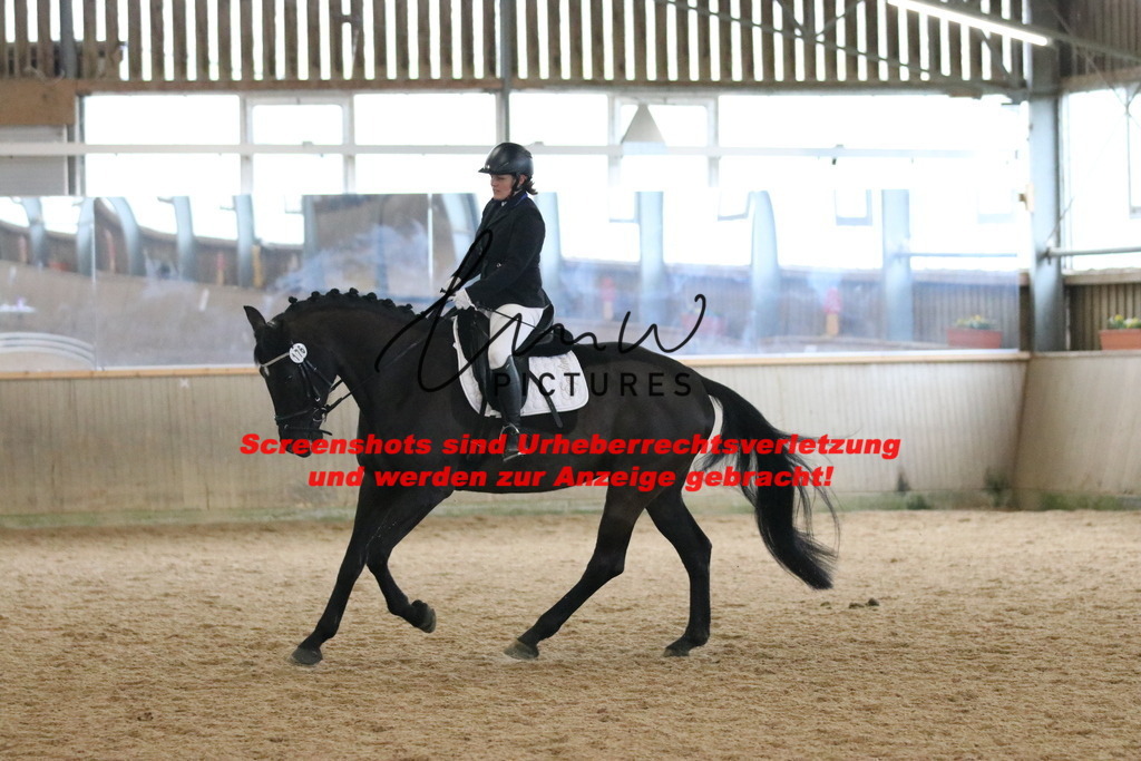 IMG_7139 | lmwpictures - Realisiert mit Pictrs.com