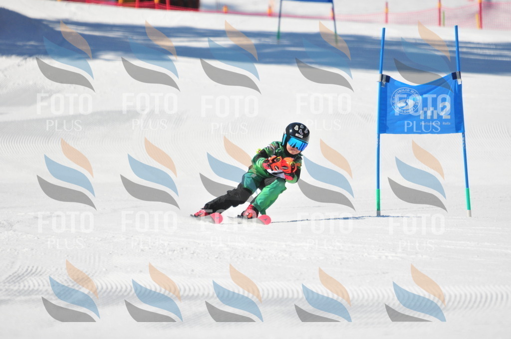 C3032 | holidayphoto