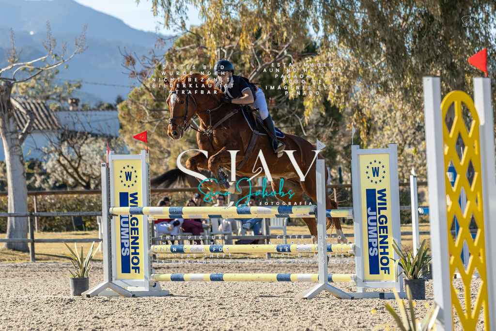 IMG_2098 | s-jay-photography - Realisiert mit Pictrs.com