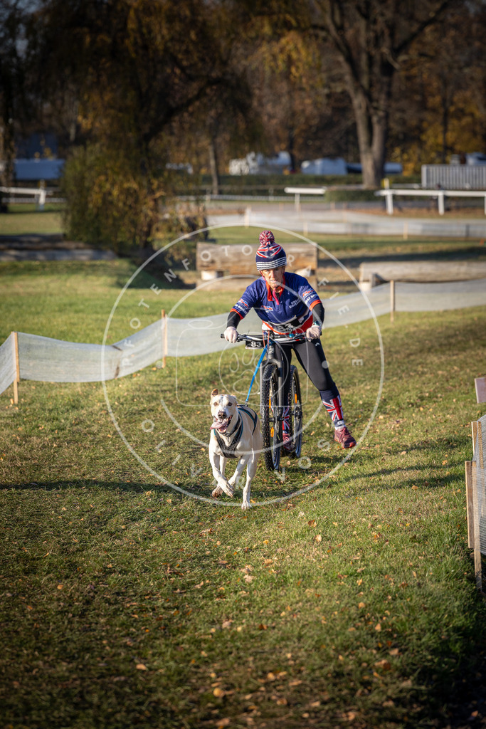 CaniXpix_DV3A1623 | Hundefotografie, Tierfotograf, Pfotenfotografie, Fotoshooting Hund, Hunde Portrait, Hundesport, Hundeportraits, Heideshooting, Hunde, Sportfotograf, Hundefotograf, Turnierhundsport, THS,  - Realisiert mit Pictrs.com
