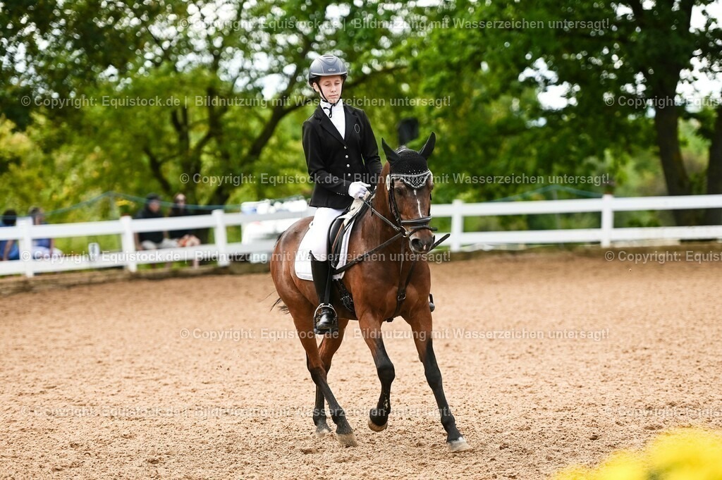 20230716_10-2_Reiter-WB Schritt - Trab - Galopp_0100 | equistock