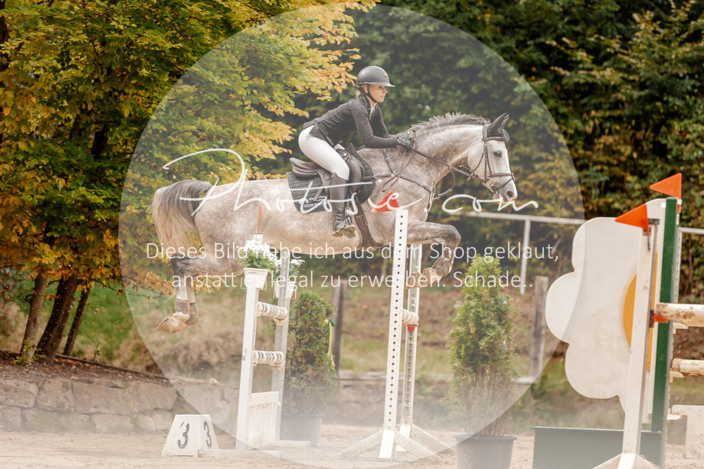 3I6A8139 | Stimmungsvolle Portraits und Reitsportfotografie im Ruhrgebiet und im Münsterland.

Pferdefotografie, Hundefotografie, Tierfotografie, Reportagen, Portraits von Tier und Mensch, Turnierfotografie in Bochum, Recklinghausen, Marl, Haltern am See, Dülmen.. - Realisiert mit Pictrs.com