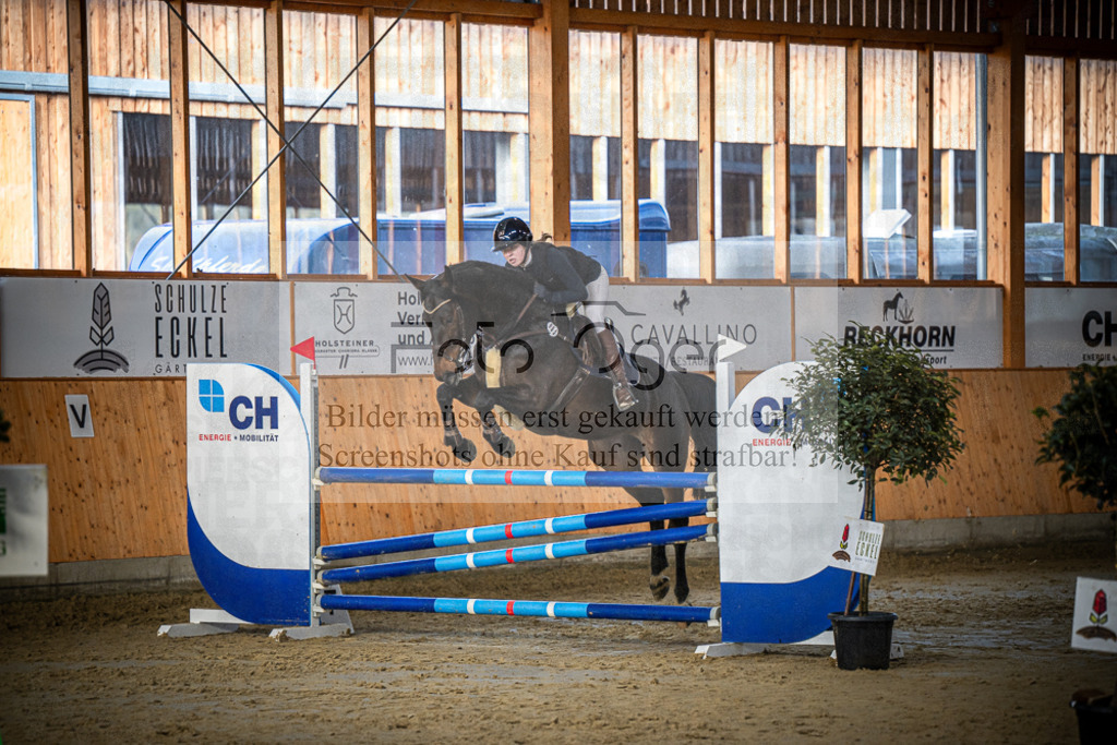 DOS_0564 | Entdecke hochwertige Reitturnierfotos von Foto Oger. Professionell, emotional und authentisch – jetzt Lieblingsmomente im Shop bestellen.Deutschlandweite Turnierfotografie. - Realisiert mit Pictrs.com