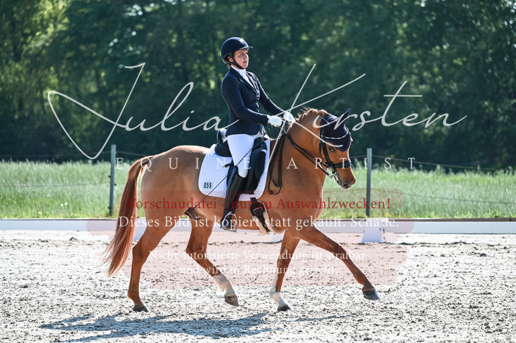 20230514_JK-Röhrsdorf-18-287 | Pferde- und Turnierfotografie in Westsachsen. Pferdeportraits, Auftragszeichnungen und intuitive Kunst.