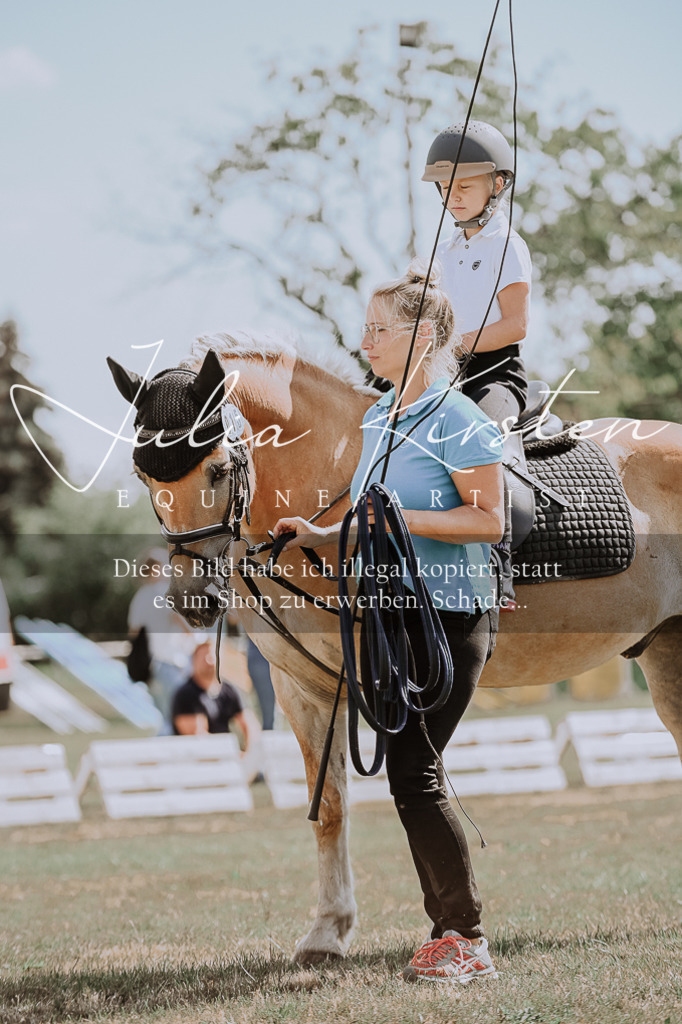 DSC_7781 | Pferde- und Turnierfotografie in Westsachsen. Pferdeportraits, Auftragszeichnungen und intuitive Kunst.