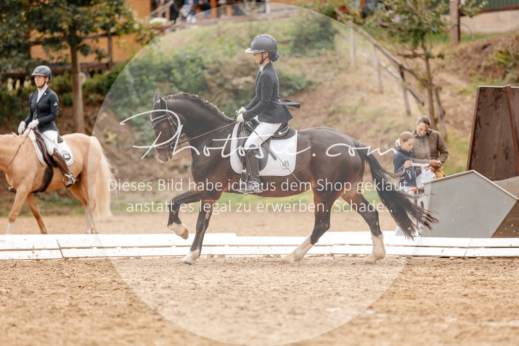 3I6A7913 | Stimmungsvolle Portraits und Reitsportfotografie im Ruhrgebiet und im Münsterland.

Pferdefotografie, Hundefotografie, Tierfotografie, Reportagen, Portraits von Tier und Mensch, Turnierfotografie in Bochum, Recklinghausen, Marl, Haltern am See, Dülmen.. - Realisiert mit Pictrs.com