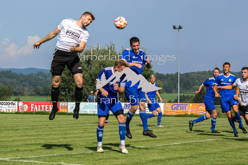 993T6319 | Medien- Sport- Entertainmentfotos