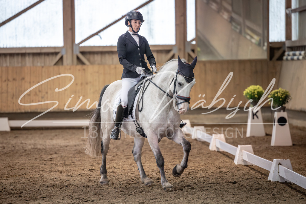 20251011-_3LI1993 | Tierfotografie Pferde, Hunde, Katzen, Haustiere.
Turnierfotografie Reitturniere, Reiten, Springreiten, Dressur in Hanau, dem Main-Kinzig-Kreis und dem Rhein-Main- Gebiet um Frankfurt